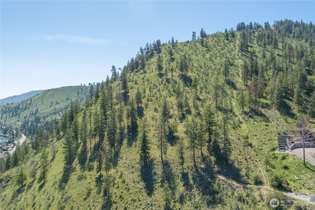 4340 Sunnybank Dr, Chelan, WA 98816 - photo 28