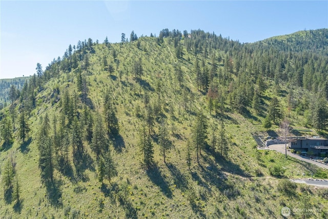 4340 Sunnybank Dr, Chelan, WA 98816 - photo 29