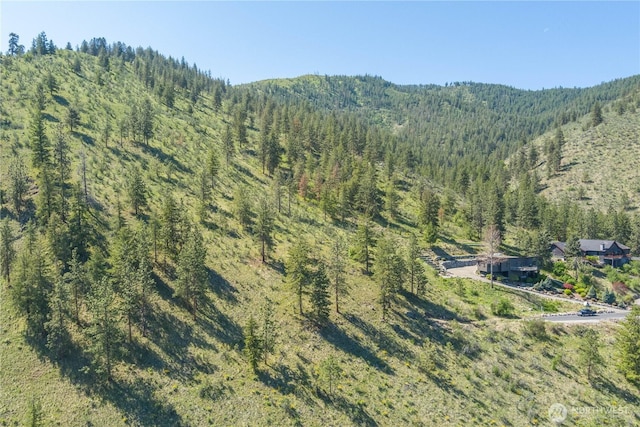 4340 Sunnybank Dr, Chelan, WA 98816 - photo 30