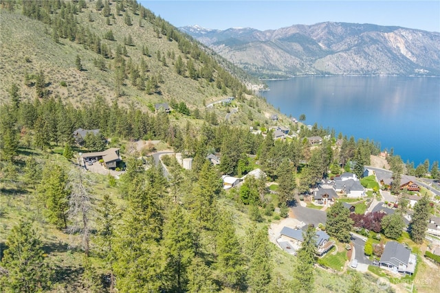 4340 Sunnybank Dr, Chelan, WA 98816 - photo 31