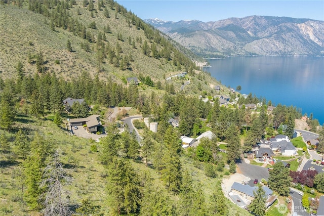 4340 Sunnybank Dr, Chelan, WA 98816 - photo 32