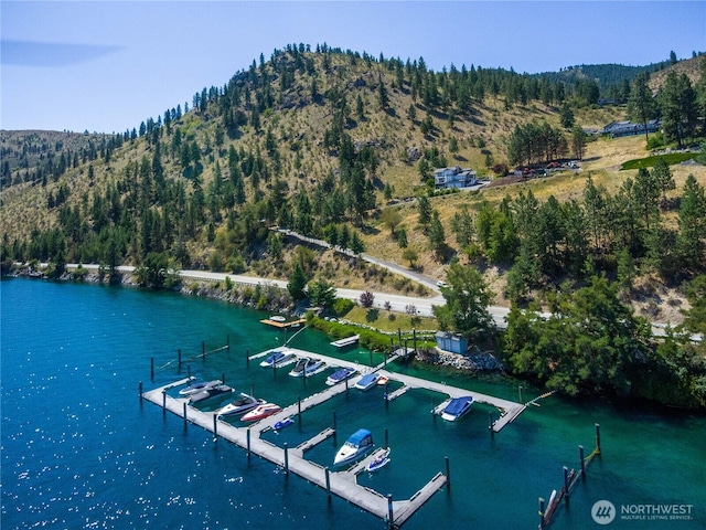 4340 Sunnybank Dr, Chelan, WA 98816 - photo 36