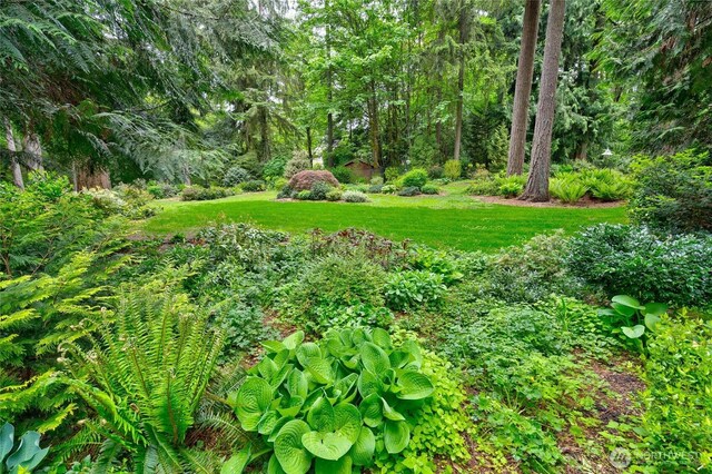 16113 161st Ave NE, Woodinville, WA 98072 - photo 32