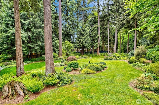 16113 161st Ave NE, Woodinville, WA 98072 - photo 31