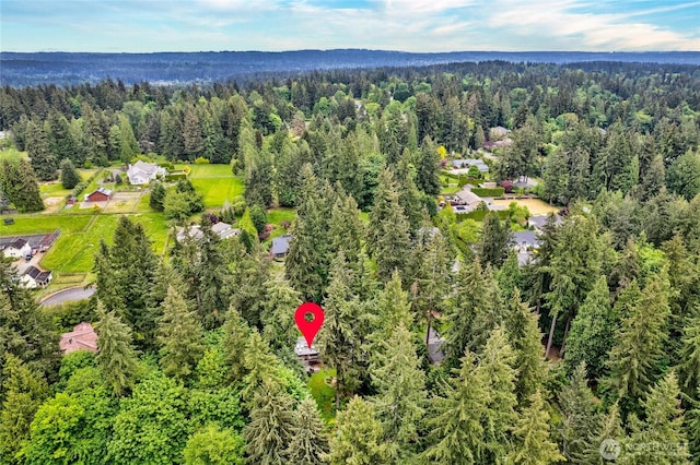 16113 161st Ave NE, Woodinville, WA 98072 - photo 38