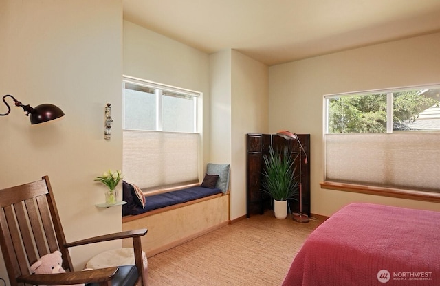 1050 Village Loop, Langley, WA 98260 - photo 31