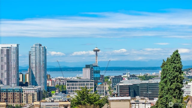 232 Belmont Ave E Unit 202, Seattle, WA 98102 - photo 28