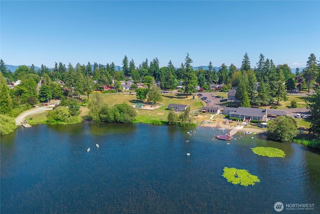 21846 SE 271st St, Maple Valley, WA 98038 - photo 34