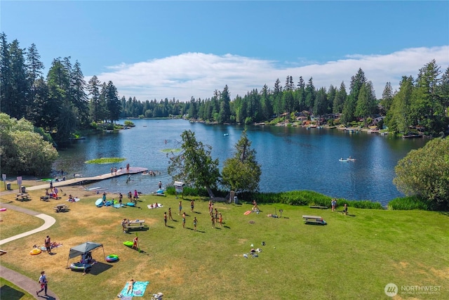21846 SE 271st St, Maple Valley, WA 98038 - photo 32