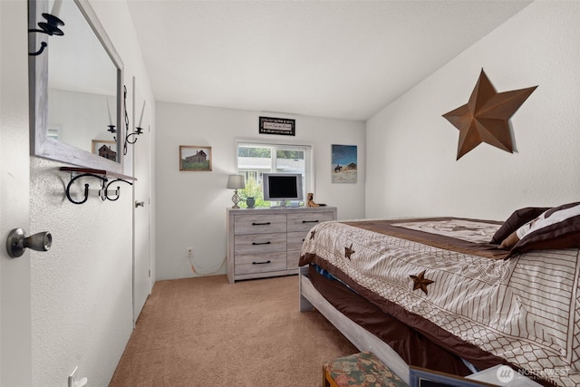 4 Christmas Tree Ln, Shelton, WA 98584 - photo 17
