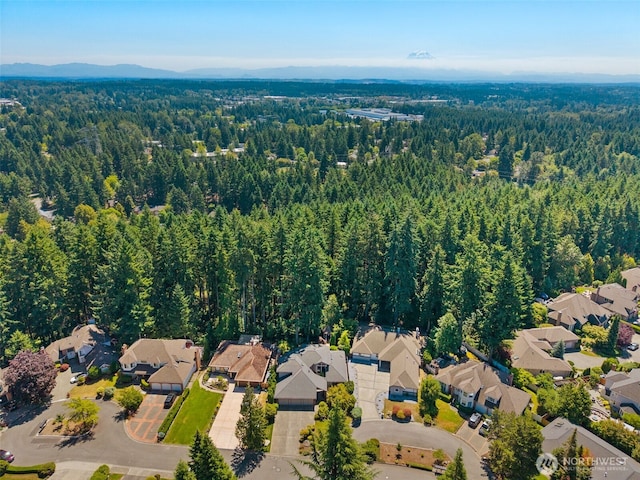 33202 2nd Pl SW, Federal Way, WA 98023 - view of property location featuring a heavily wooded area and nearby suburban area