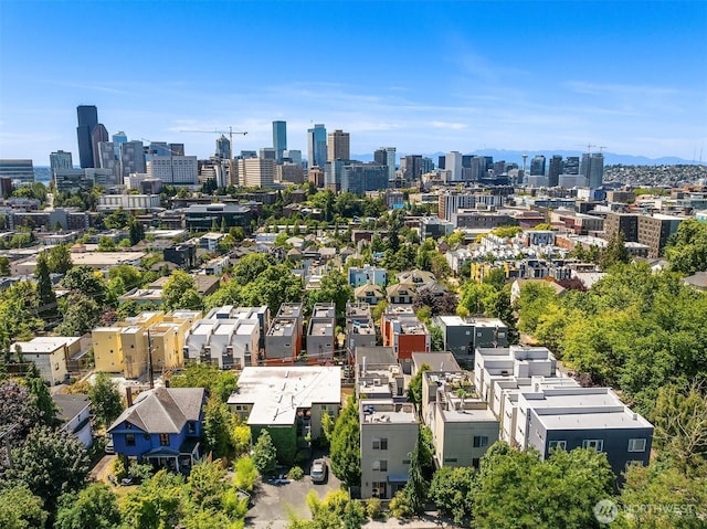 933 16th Avene, Seattle, WA 98122 - aerial view of skyline