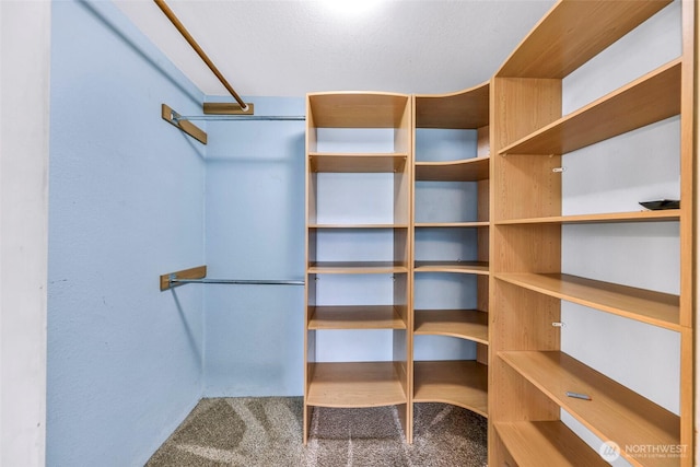3919 Timothy Ct, Bellingham, WA 98226 - spacious closet with carpet