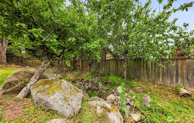 3919 Timothy Ct, Bellingham, WA 98226 - view of fenced backyard