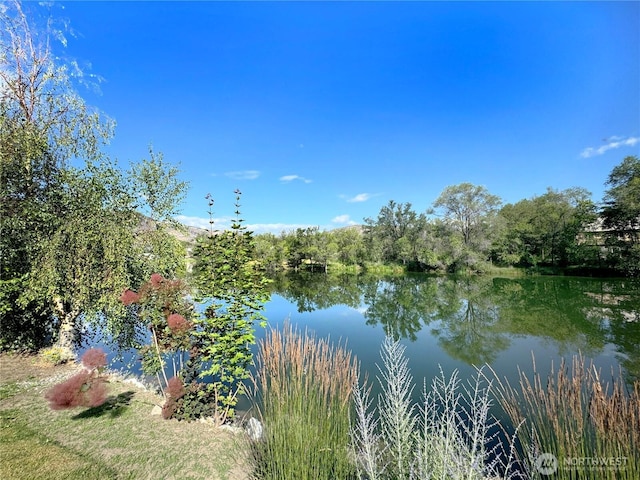 1616 Cherry St, Oroville, WA 98844 - photo 4
