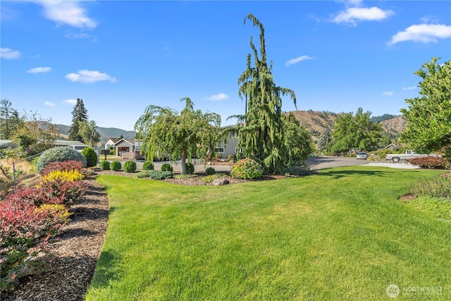 405 Valley View Dr, Cashmere, WA 98815 - photo 38