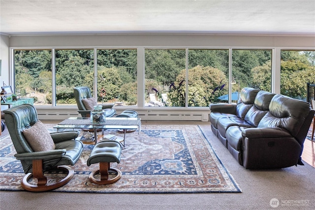 15638 94th Ave SW, Vashon, WA 98070 - living room featuring carpet and a baseboard heating unit