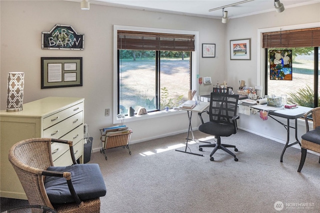 15638 94th Ave SW, Vashon, WA 98070 - home office with carpet floors, ornamental molding, and track lighting