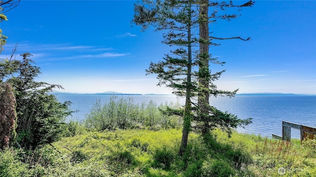 0 Maple Way, Blaine, WA 98230