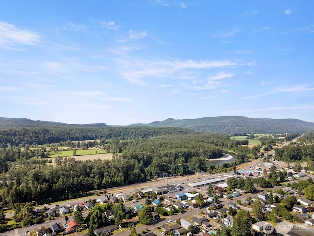 307 8th St Unit 7, Sultan, WA 98294 - photo 29