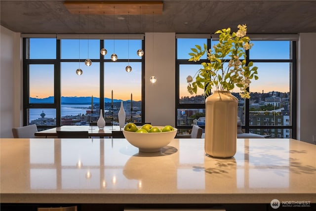 2911 2nd Ave Unit 1120, Seattle, WA 98121 - detailed view