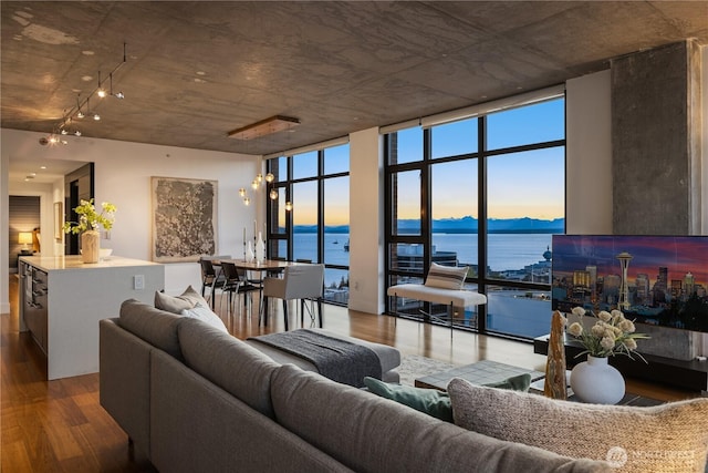 2911 2nd Ave Unit 1120, Seattle, WA 98121 - living area featuring wood finished floors, a wall of windows, and a water view