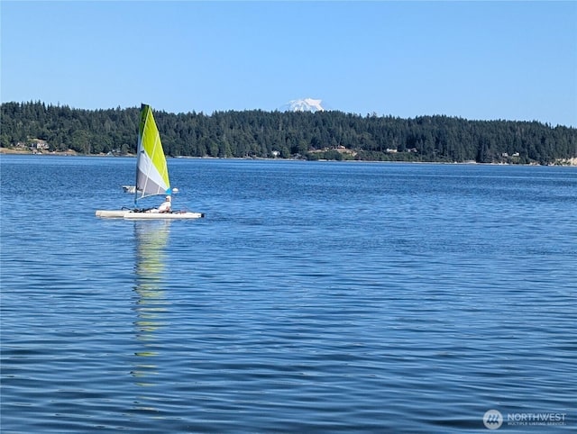 680 E Treasure Island Dr, Allyn, WA 98524 - photo 25