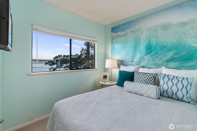 680 E Treasure Island Dr, Allyn, WA 98524 - photo 14