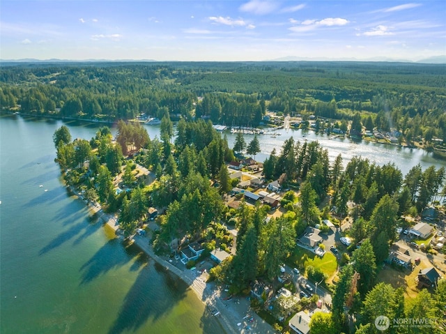 680 E Treasure Island Dr, Allyn, WA 98524 - photo 23