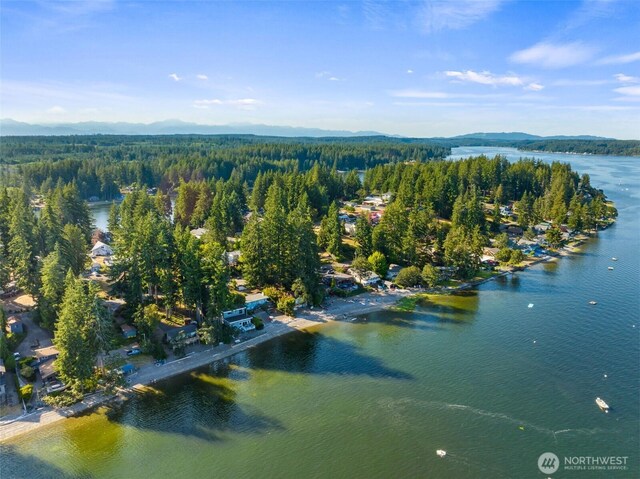 680 E Treasure Island Dr, Allyn, WA 98524 - photo 24