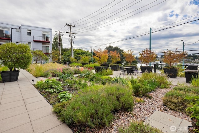 2960 Eastlake Ave E Unit 313, Seattle, WA 98102 - photo 24