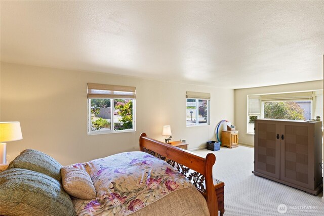 145 Lummi Dr, La Conner, WA 98257 - photo 21