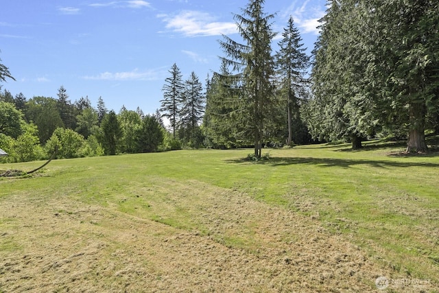 27233 NE 53rd St, Redmond, WA 98053