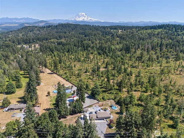 20311 Orting Kapowsin Hwy E, Graham, WA 98338 - aerial view of property's location with a heavily wooded area and mountains