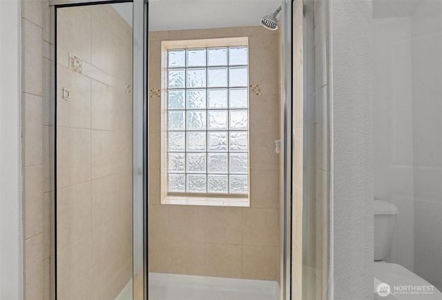 718 Nob Hill Ave N Unit B, Seattle, WA 98109 - photo 29