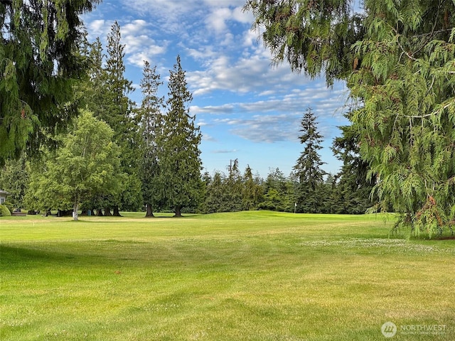 133A Hilltop Dr, Sequim, WA 98382 - photo 34
