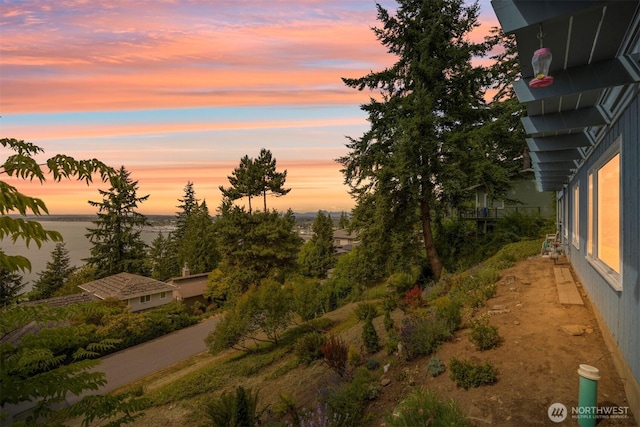 118 Highland Dr, Bellingham, WA 98225 - view of yard at dusk