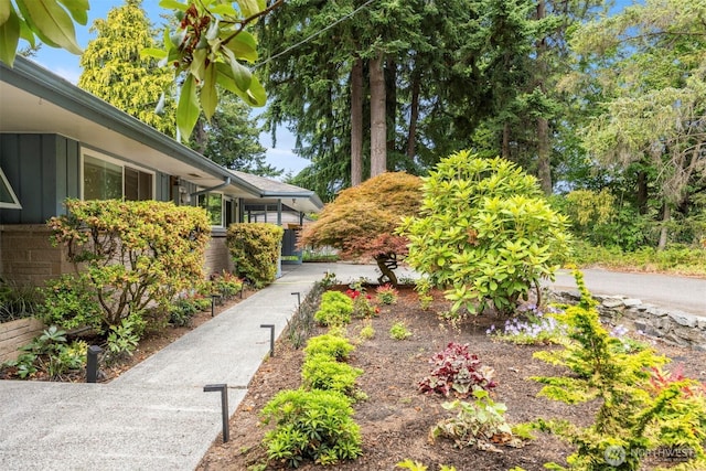 118 Highland Dr, Bellingham, WA 98225 - view of yard
