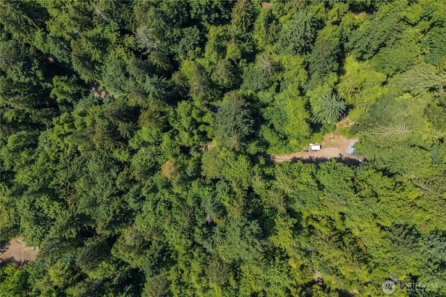 5 Eastside Dr, Hoodsport, WA 98548 - photo 28