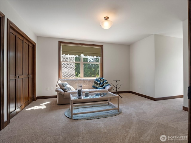 24217 116th Ave E, Graham, WA 98338 - photo 25