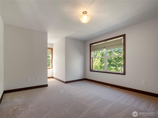 24217 116th Ave E, Graham, WA 98338 - photo 28
