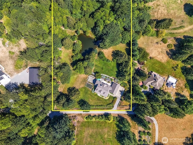 24217 116th Ave E, Graham, WA 98338 - photo 38