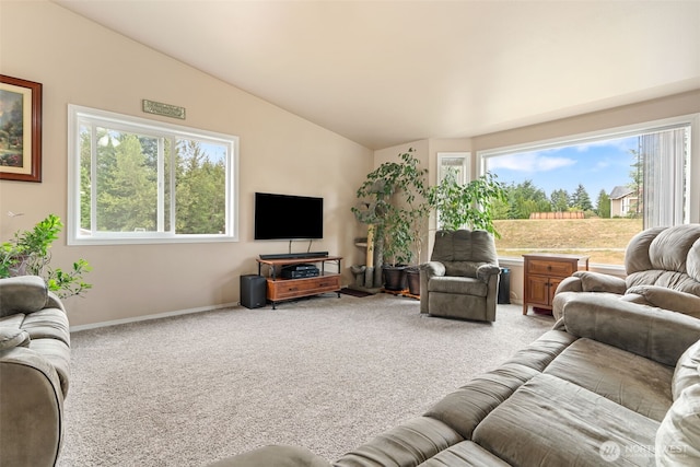 135 Quary Ln, Winlock, WA 98596 - photo 6
