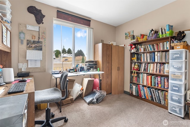 135 Quary Ln, Winlock, WA 98596 - photo 23