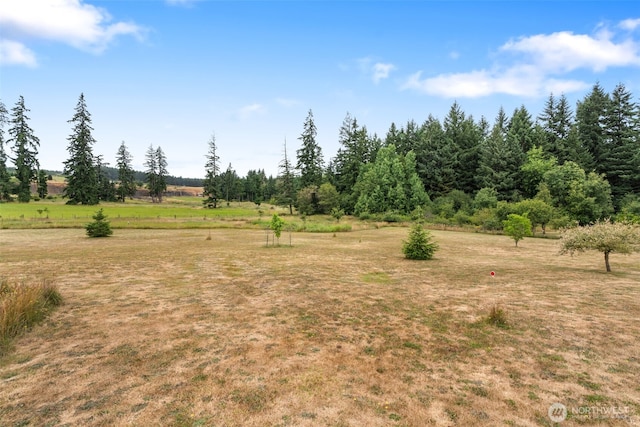 135 Quary Ln, Winlock, WA 98596 - photo 33