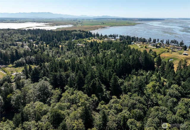 0NHN Samish Island Rd, Bow, WA 98232 - photo 12