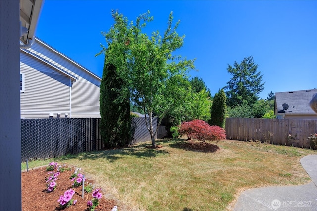 2537 Kristine Ct, Centralia, WA 98531 - view of yard