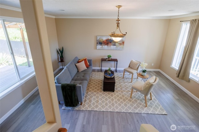 2537 Kristine Ct, Centralia, WA 98531 - living area featuring wood finished floors and crown molding