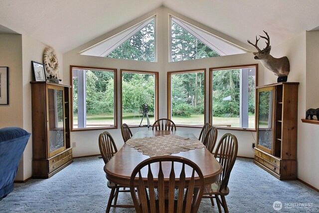 464 Stillmeadow Rd, Coupeville, WA 98239 - photo 16