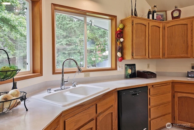 464 Stillmeadow Rd, Coupeville, WA 98239 - photo 29